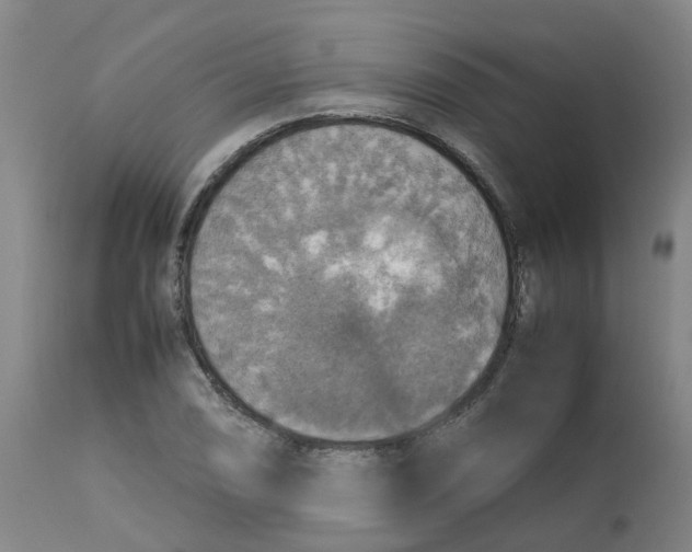 X0000112771074200909171307