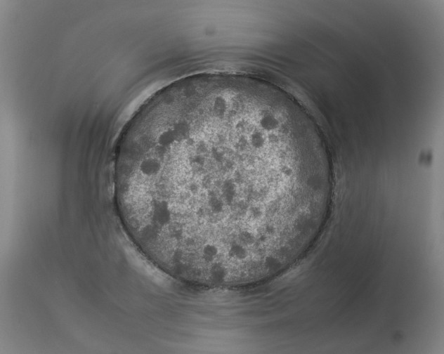 X0000112771075200909171307