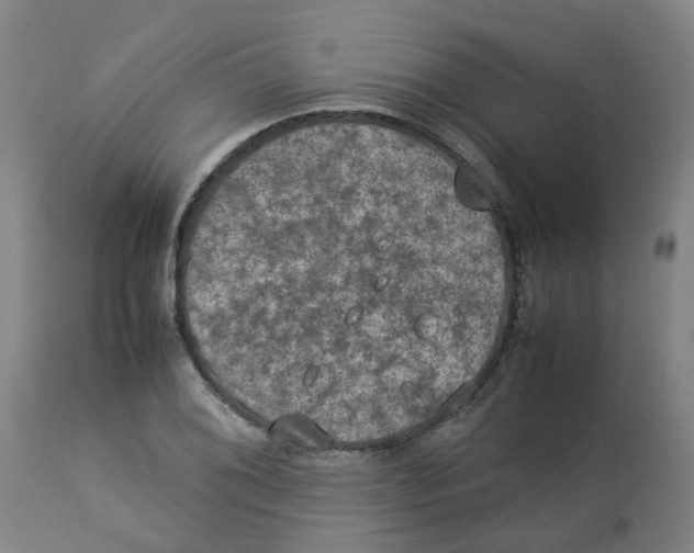 X0000112771076200909171307