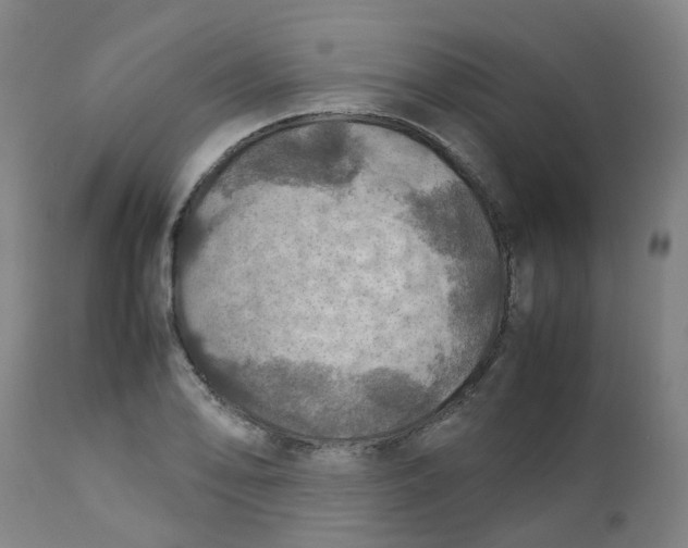 X0000112771078200909171307