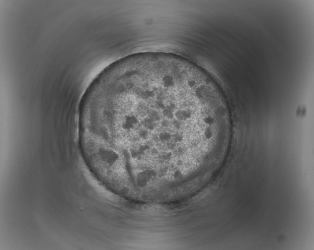 X0000112771079200909171307