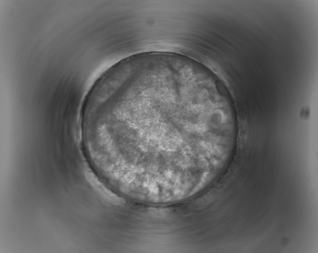 X0000112771080200909171307