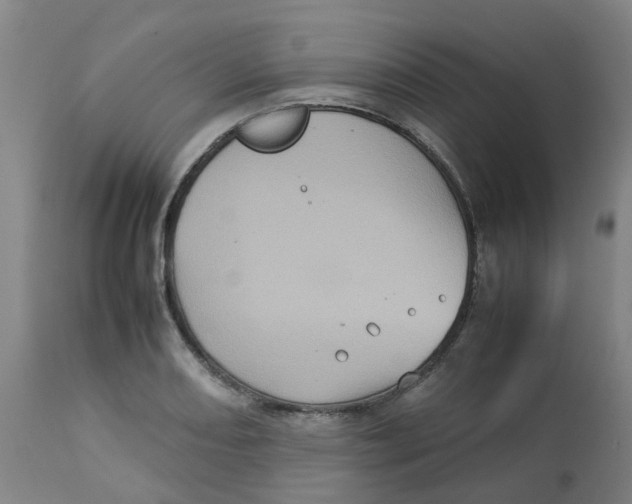 X0000112771082200909171307