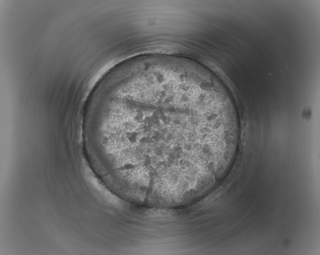 X0000112771083200909171307