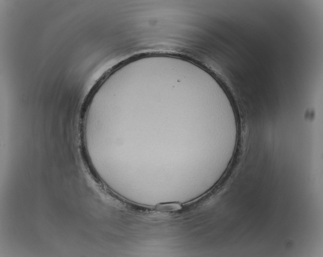 X0000112771085200909171307