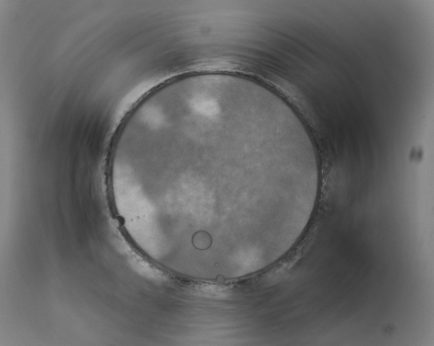 X0000112771086200909171307