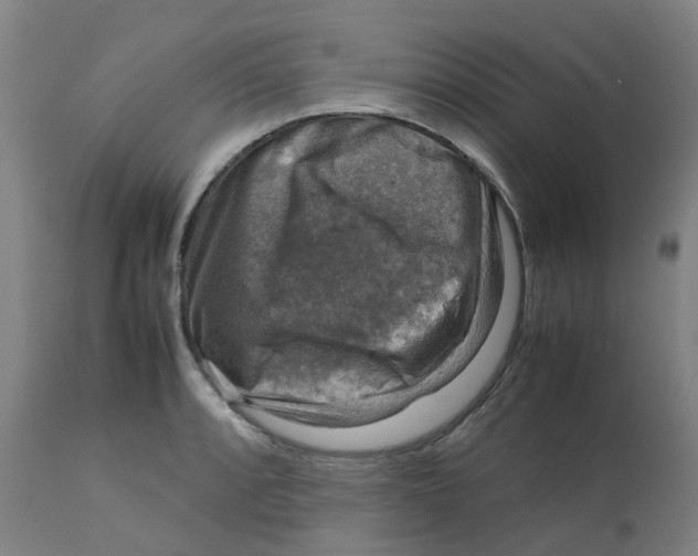 X0000112771088200909171307