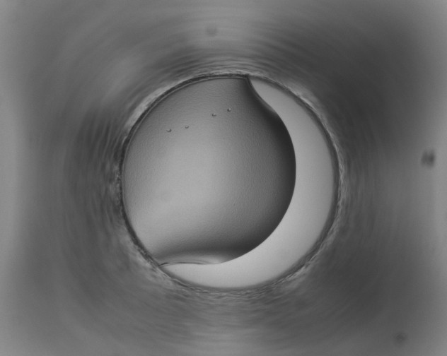 X0000112771089200909171307