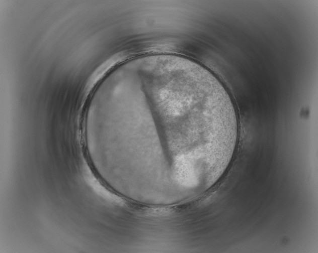 X0000112771090200909171307