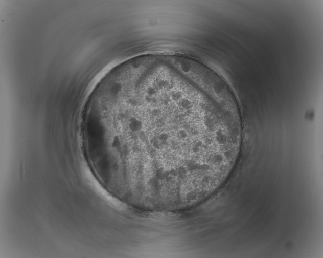 X0000112771091200909171307