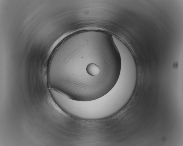 X0000112771092200909171307