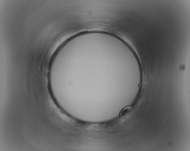 X0000112771093200909171307