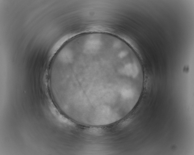 X0000112771094200909171307