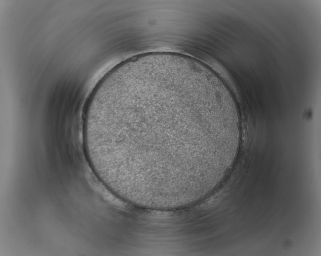 X0000112771096200909171307