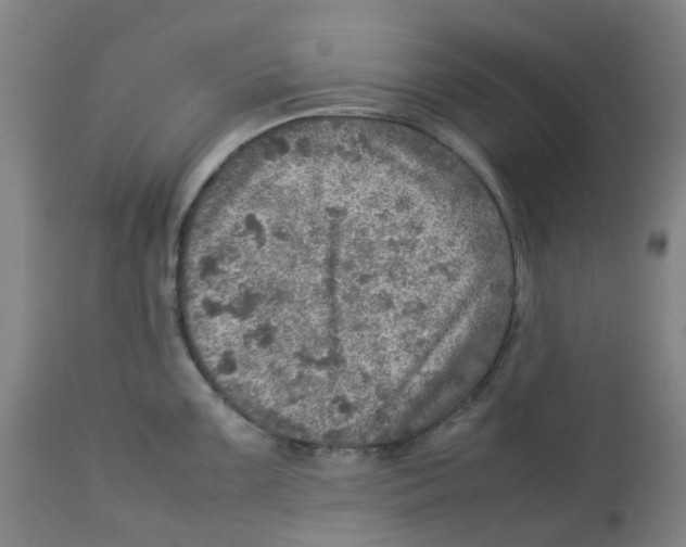 X0000112771099200909171307