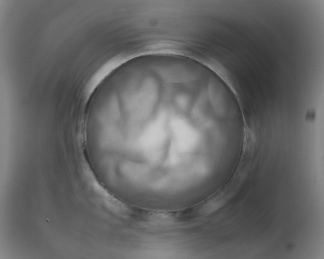 X0000112771101200909171306