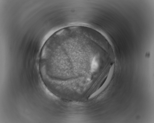 X0000112771102200909171306