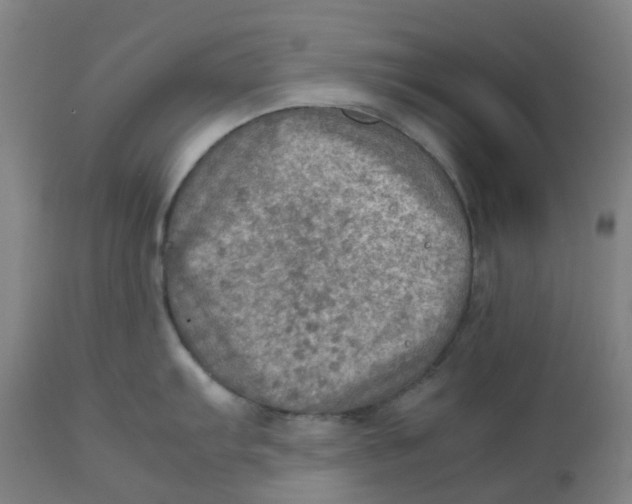 X0000112771103200909171306