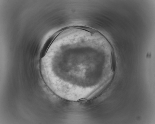 X0000112771104200909171306