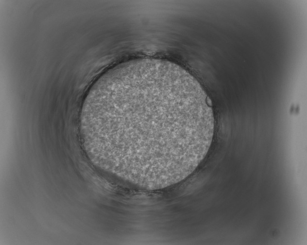 X0000112771105200909171306