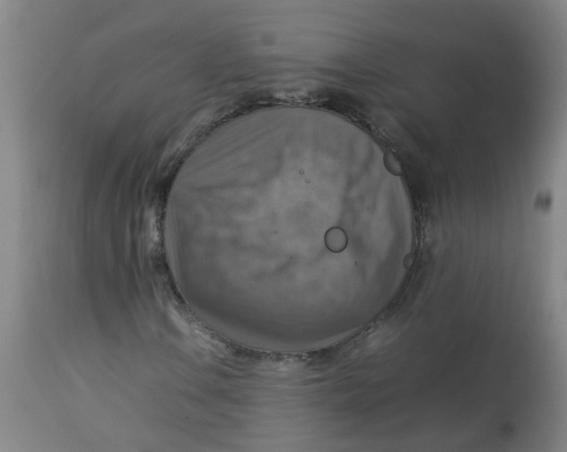 X0000112771106200909171306