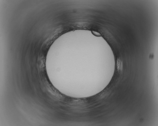 X0000112771107200909171306