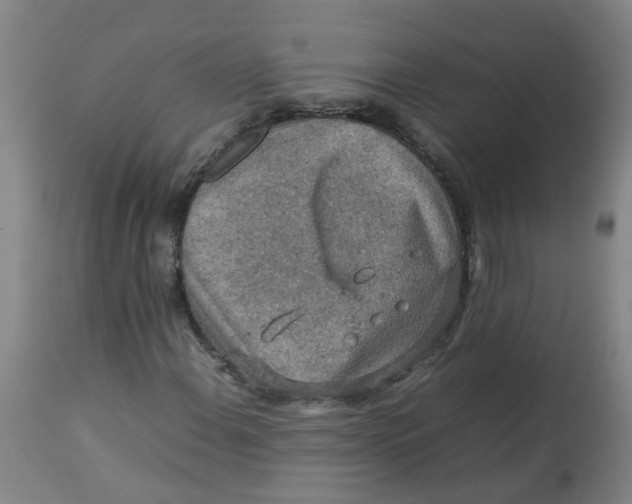 X0000112771108200909171306