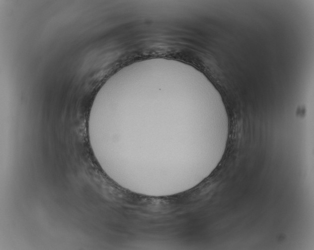 X0000112771109200909171306