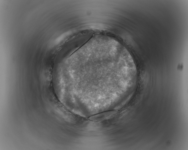 X0000112771110200909171306