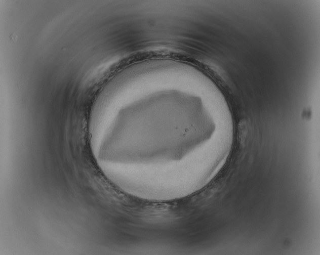 X0000112771111200909171306