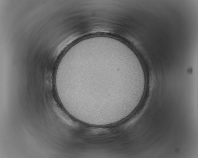 X0000112771113200909171306