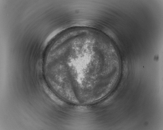 X0000112771114200909171306