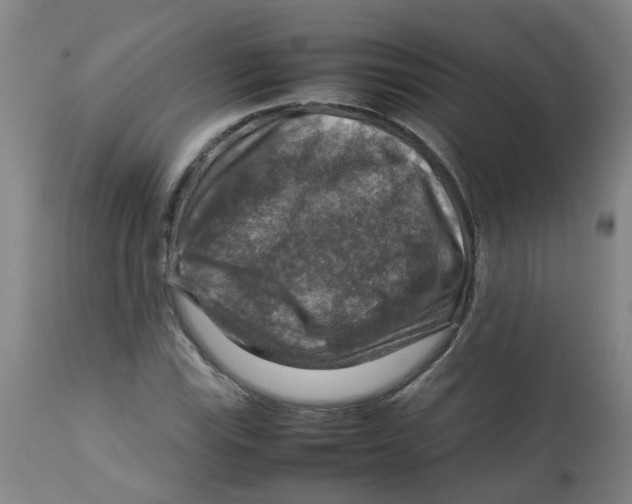 X0000112771115200909171306