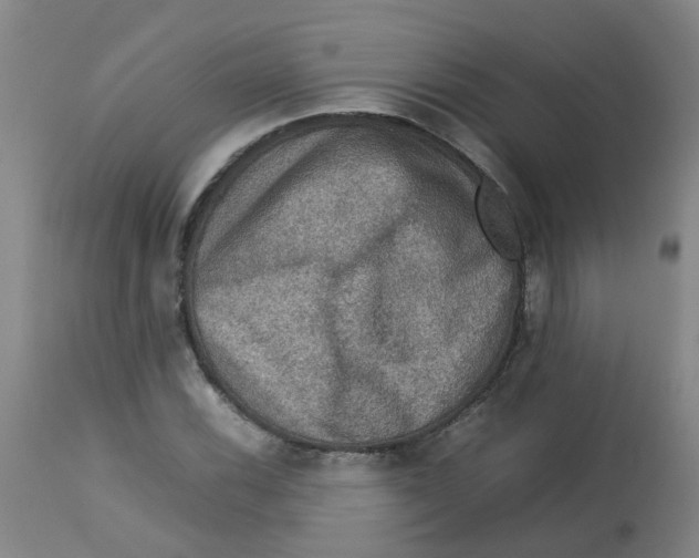 X0000112771116200909171306