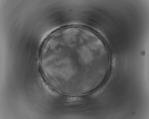 X0000112771117200909171306