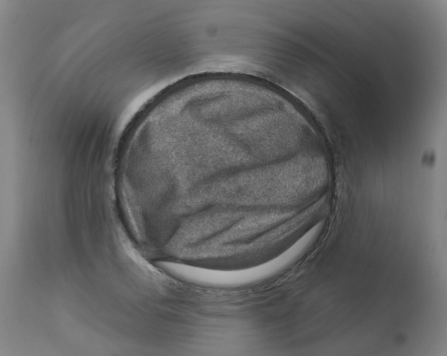 X0000112771120200909171306