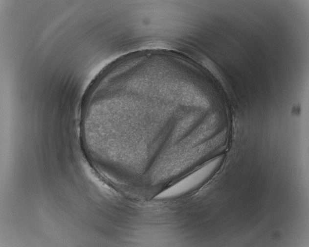 X0000112771124200909171306