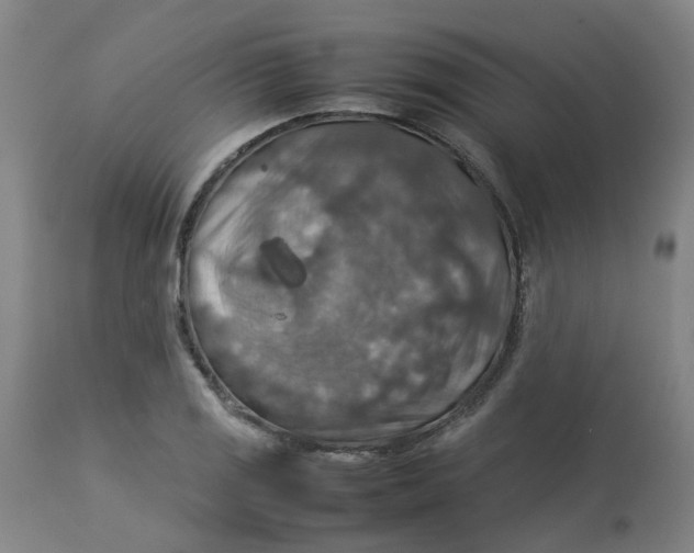 X0000112771125200909171306