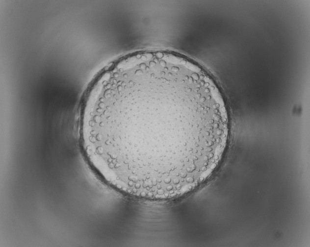 X0000112771126200909171306