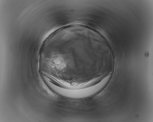 X0000112771127200909171306