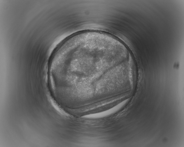 X0000112771128200909171306