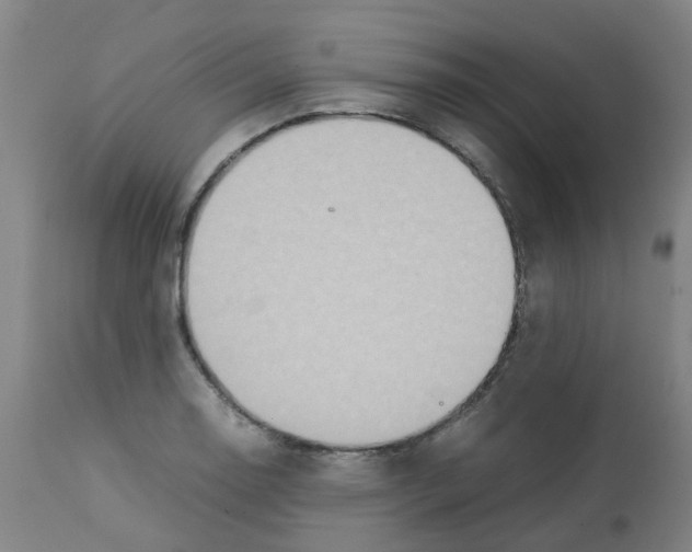 X0000112771130200909171306