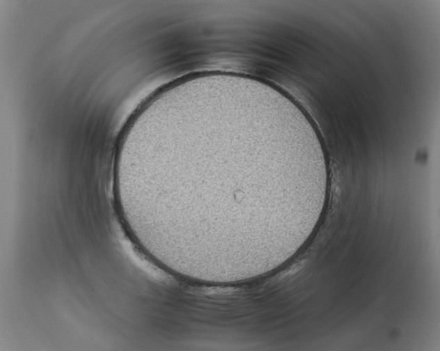 X0000112771131200909171306