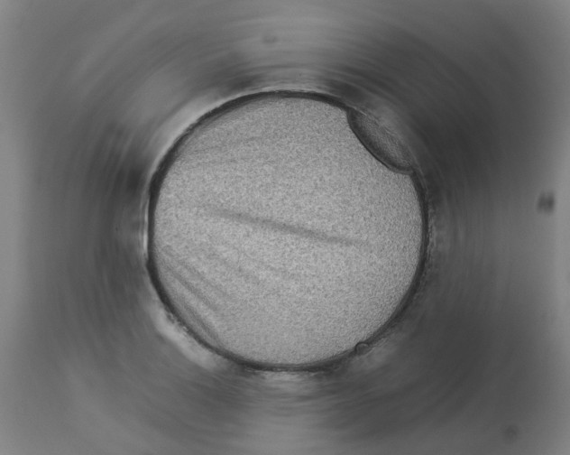 X0000112771132200909171306