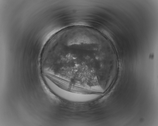 X0000112771133200909171306