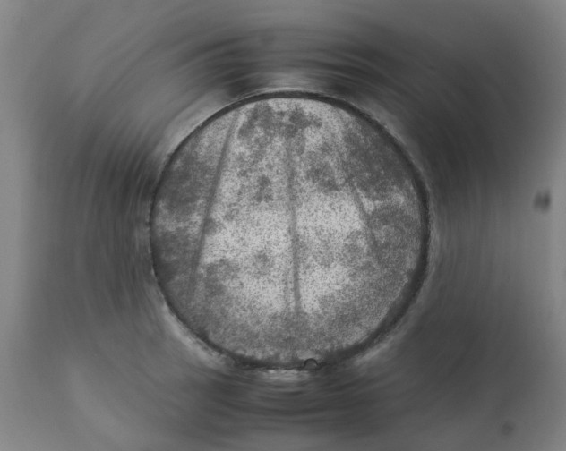 X0000112771137200909171306