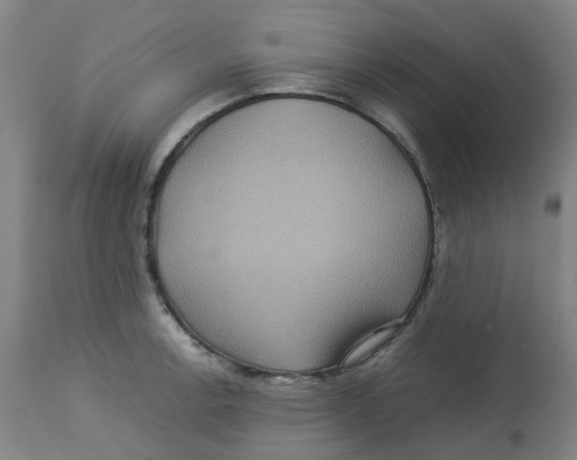 X0000112771138200909171306