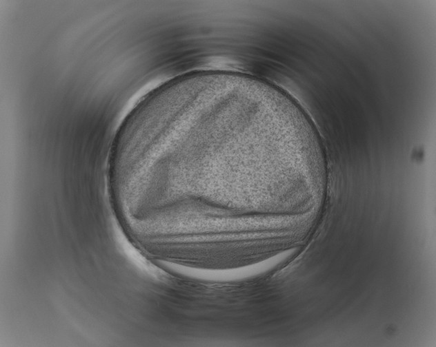 X0000112771139200909171306