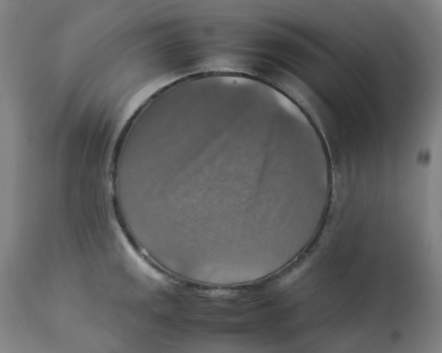 X0000112771141200909171306