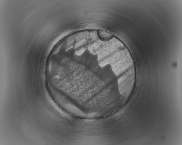 X0000112771142200909171306